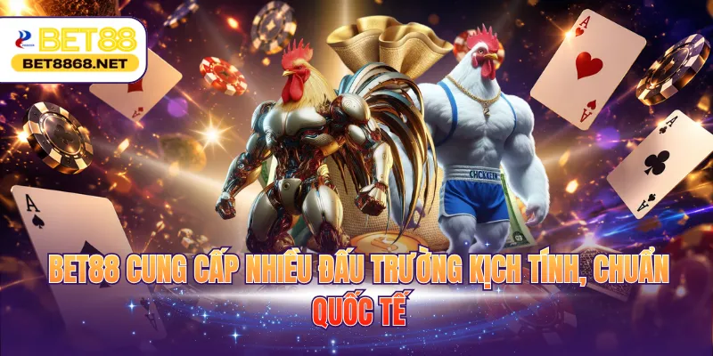 BET88 cung cấp nhiều đấu trường kịch tính, chuẩn quốc tế