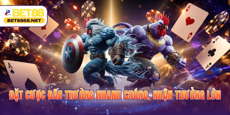 Đặt cược đấu trường nhanh chóng, nhận thưởng lớn